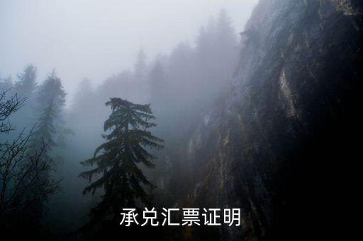 承兌匯票證明