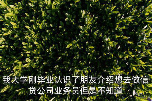 我大學(xué)剛畢業(yè)認(rèn)識了朋友介紹想去做信貸公司業(yè)務(wù)員但是不知道