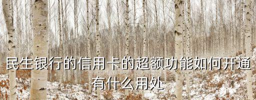 民生銀行的信用卡的超額功能如何開通有什么用處