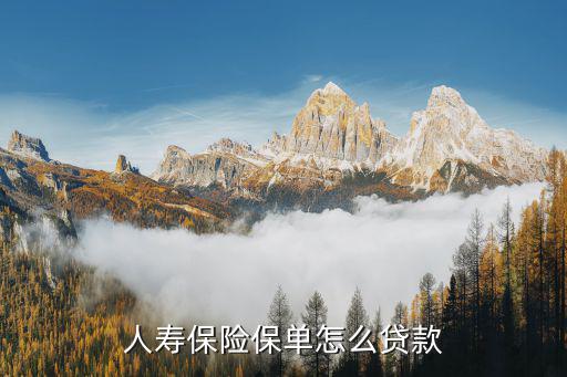 富德人壽保單怎么貸款，富德人壽保險保險產(chǎn)品可以用來貸款嗎可以代多少