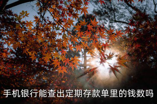 手機(jī)銀行能查出定期存款單里的錢數(shù)嗎
