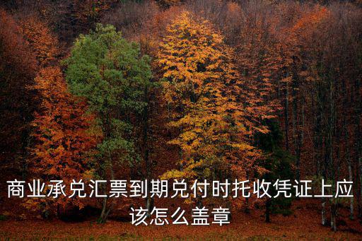 商業(yè)承兌匯票到期兌付時托收憑證上應(yīng)該怎么蓋章