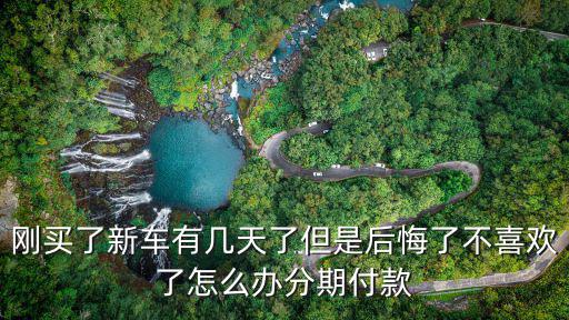 剛買了新車有幾天了但是后悔了不喜歡了怎么辦分期付款