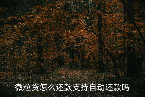 微粒貸怎么還款的，微粒貸如何還款