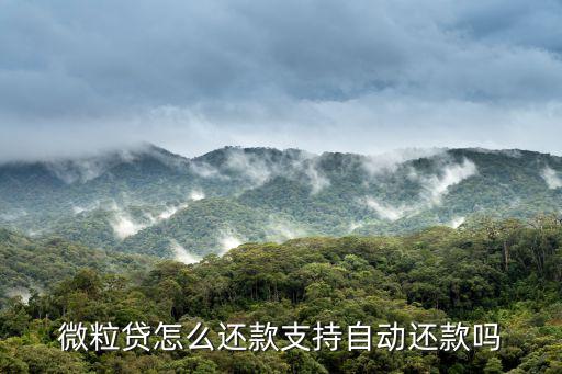 微粒貸怎么還款支持自動(dòng)還款嗎