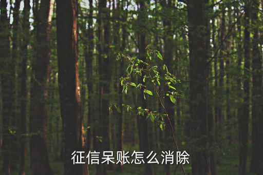 征信呆賬怎么消除