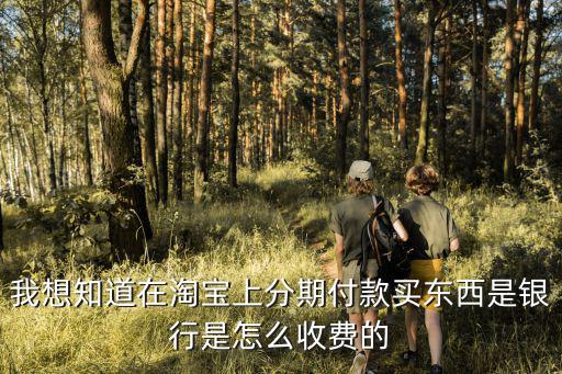 我想知道在淘寶上分期付款買東西是銀行是怎么收費(fèi)的