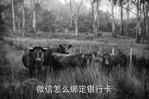 微信怎么再綁定銀行卡，微信如何綁定銀行卡
