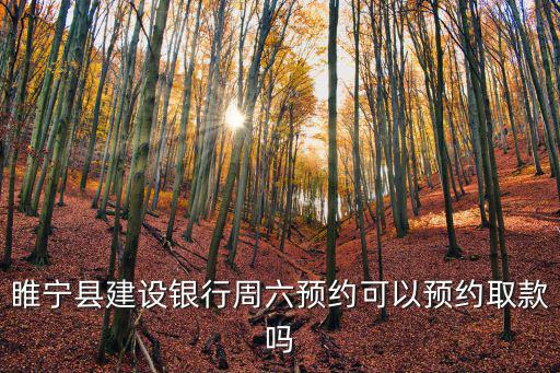 睢寧縣建設銀行周六預約可以預約取款嗎