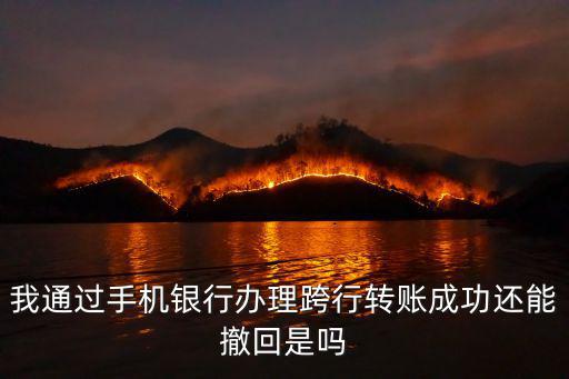 我通過手機銀行辦理跨行轉(zhuǎn)賬成功還能撤回是嗎