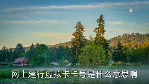 建設(shè)虛擬卡怎么看卡號(hào)，怎樣查詢建設(shè)銀行卡號(hào)