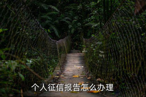 個(gè)人征信報(bào)告怎么辦理