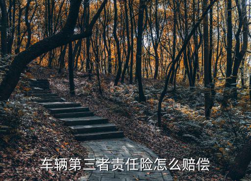 車輛第三者責(zé)任險(xiǎn)怎么賠償