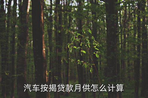 汽車按揭貸款月供怎么計算