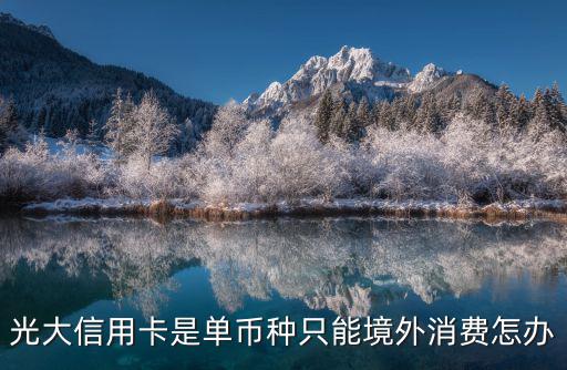 光大刷境外怎么辦理，光大銀行大美西藏信用卡能在國外消費么
