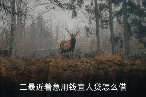 二最近著急用錢宜人貸怎么借