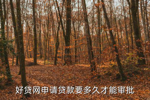 好貸網(wǎng)怎么注冊(cè)不了，問一下 好貸網(wǎng)到底怎么樣說說 謝謝