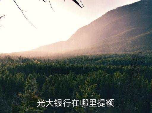 光大白金卡怎么提額度是多少，光大銀行在哪里提額
