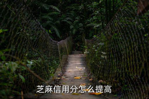 芝麻信用分怎么提高