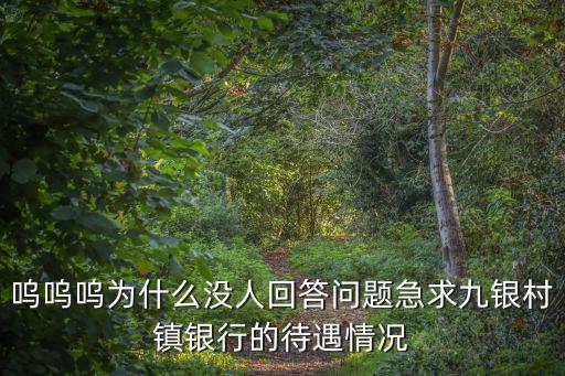 嗚嗚嗚為什么沒(méi)人回答問(wèn)題急求九銀村鎮(zhèn)銀行的待遇情況
