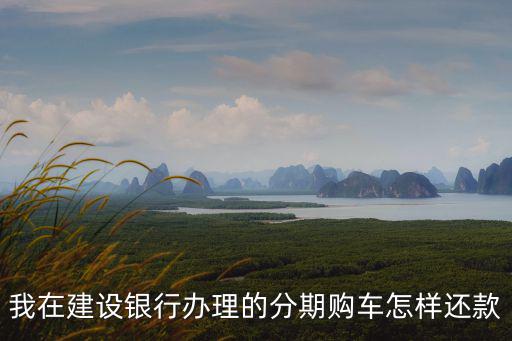 我在建設(shè)銀行辦理的分期購(gòu)車怎樣還款