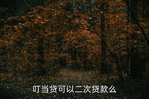叮當(dāng)貸可以二次貸款么