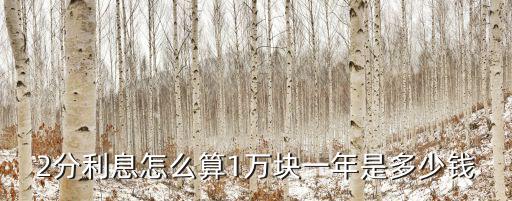 2分利息怎么算1萬塊一年是多少錢
