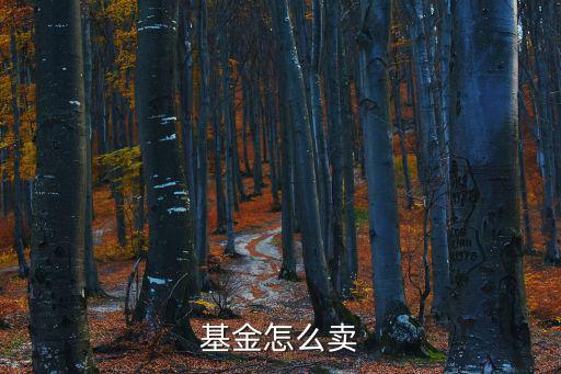 移動互聯(lián)基金怎么賣，基金怎么賣