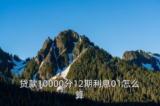 貸款10000怎么計(jì)算利息，貸款10000分12期利息01怎么算