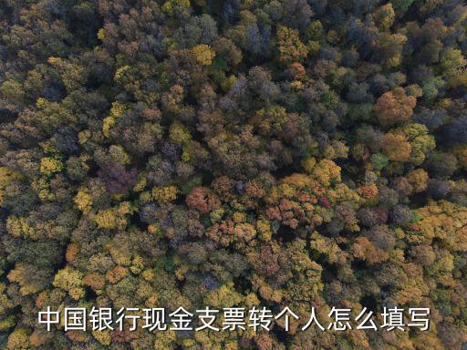 中國銀行轉(zhuǎn)賬支票怎么填寫，支票的填寫方法