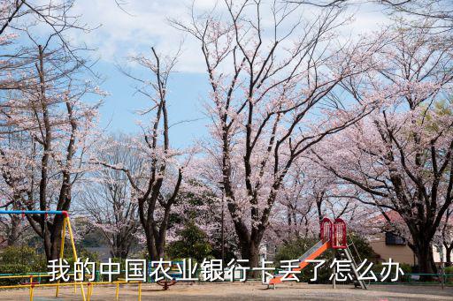 定期農(nóng)行卡丟失怎么辦理，農(nóng)行卡丟了好補(bǔ)辦嗎