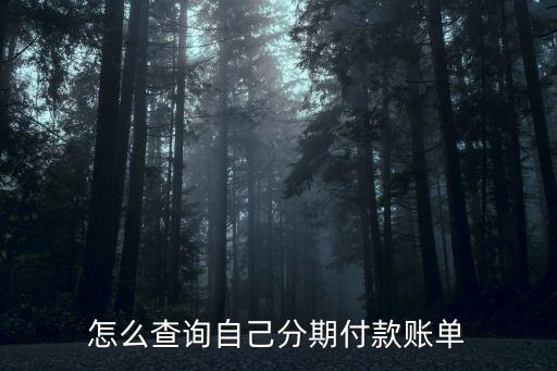 怎么查詢自己分期付款賬單