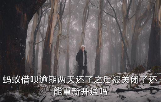 螞蟻借唄逾期兩天還了之后被關(guān)閉了還能重新開通嗎