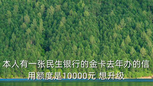 本人有一張民生銀行的金卡去年辦的信用額度是10000元 想升級