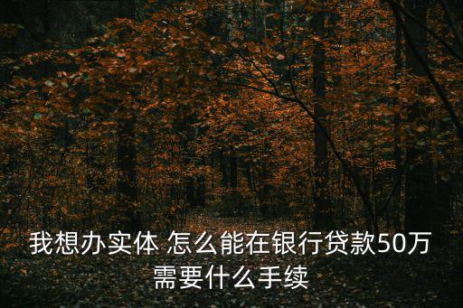 我想辦實(shí)體 怎么能在銀行貸款50萬需要什么手續(xù)