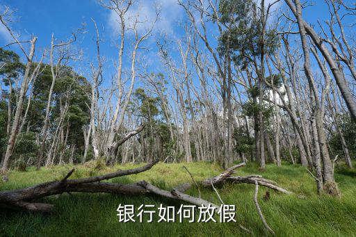 銀行如何放假