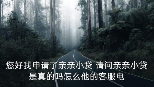 您好我申請了親親小貸 請問親親小貸是真的嗎怎么他的客服電