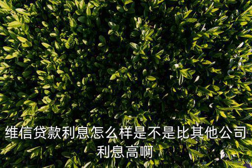 維信貸款利息怎么樣是不是比其他公司利息高啊