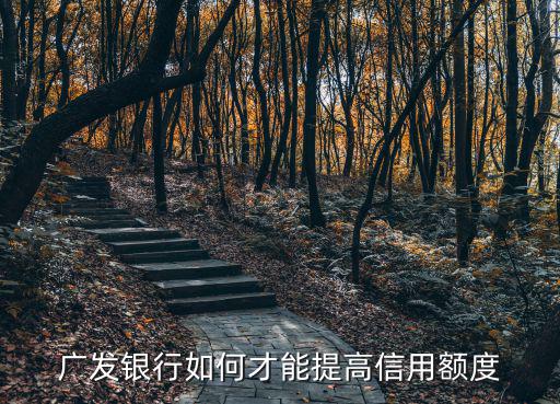 廣發(fā)怎么提額，廣發(fā)銀行信用卡想要提升額度一般是怎么做的呢