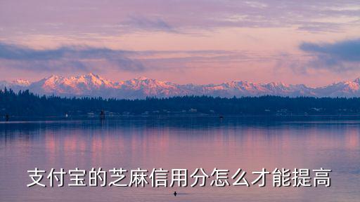 支付寶的芝麻信用分怎么才能提高