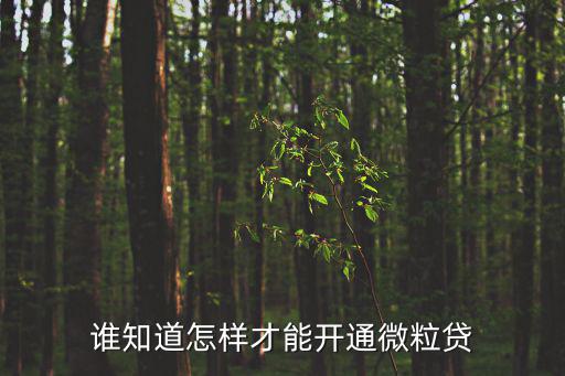 誰知道怎樣才能開通微粒貸