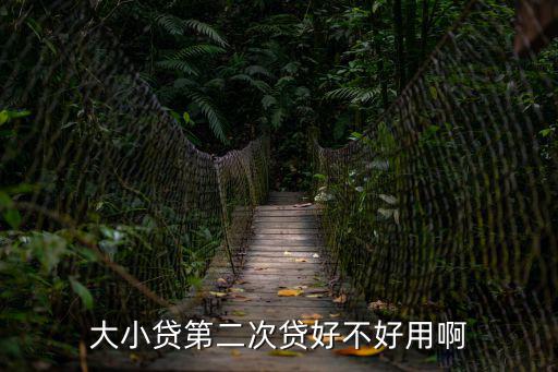大小貸第二次貸好不好用啊