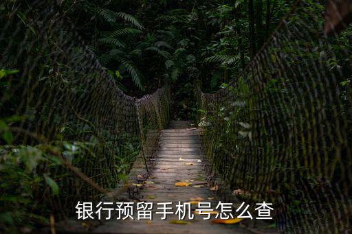 銀行預(yù)留手機(jī)號(hào)怎么查