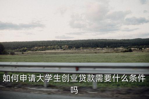 如何申請大學(xué)生創(chuàng)業(yè)貸款需要什么條件嗎