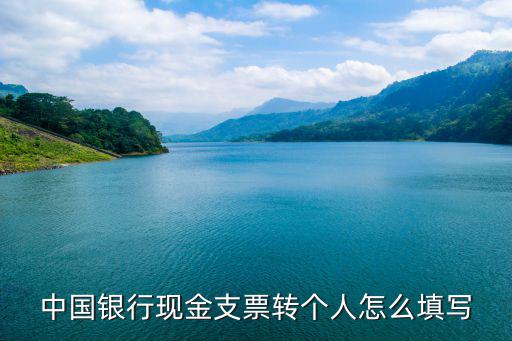 中國(guó)銀行現(xiàn)金支票轉(zhuǎn)個(gè)人怎么填寫