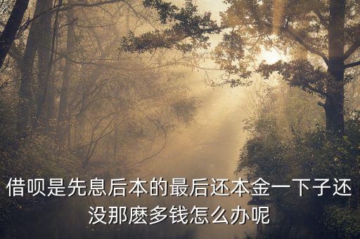 借唄是先息后本的最后還本金一下子還沒那麼多錢怎么辦呢