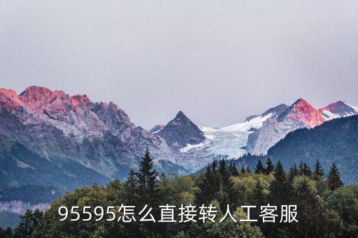 95595怎么直接轉(zhuǎn)人工客服