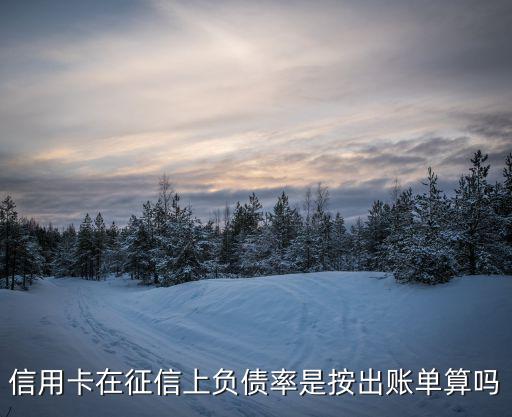 信用卡在征信上負債率是按出賬單算嗎