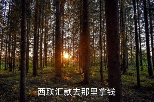 西聯(lián)匯款去那里拿錢