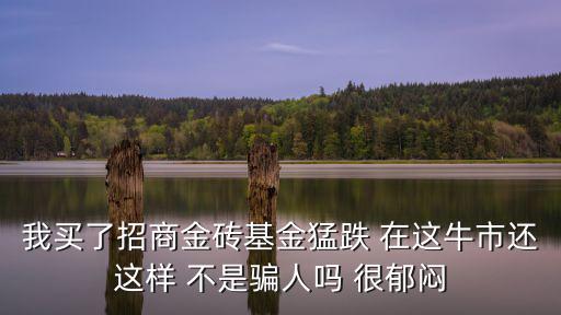我買(mǎi)了招商金磚基金猛跌 在這牛市還這樣 不是騙人嗎 很郁悶